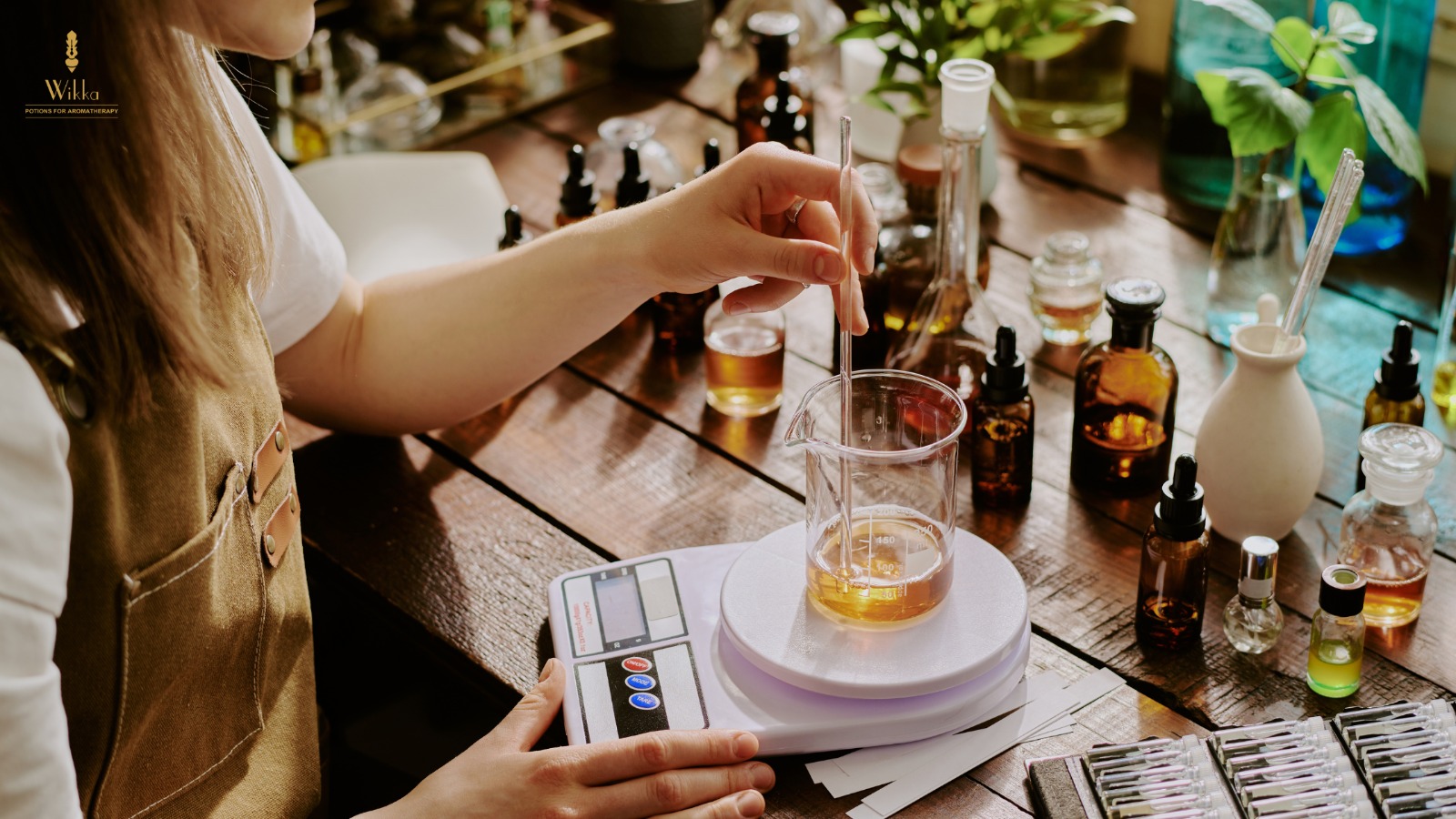 Essential Oil Profiles: Getting to Know the Personalities of Different Oils