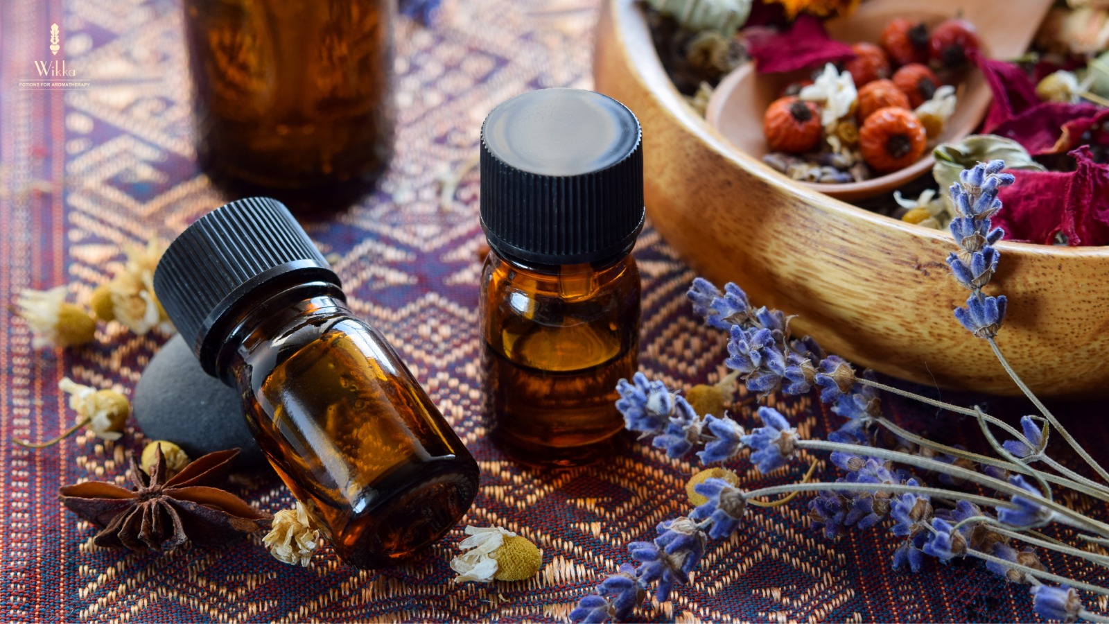 Essential Oils 101: A Beginner’s Guide to Popular Oils